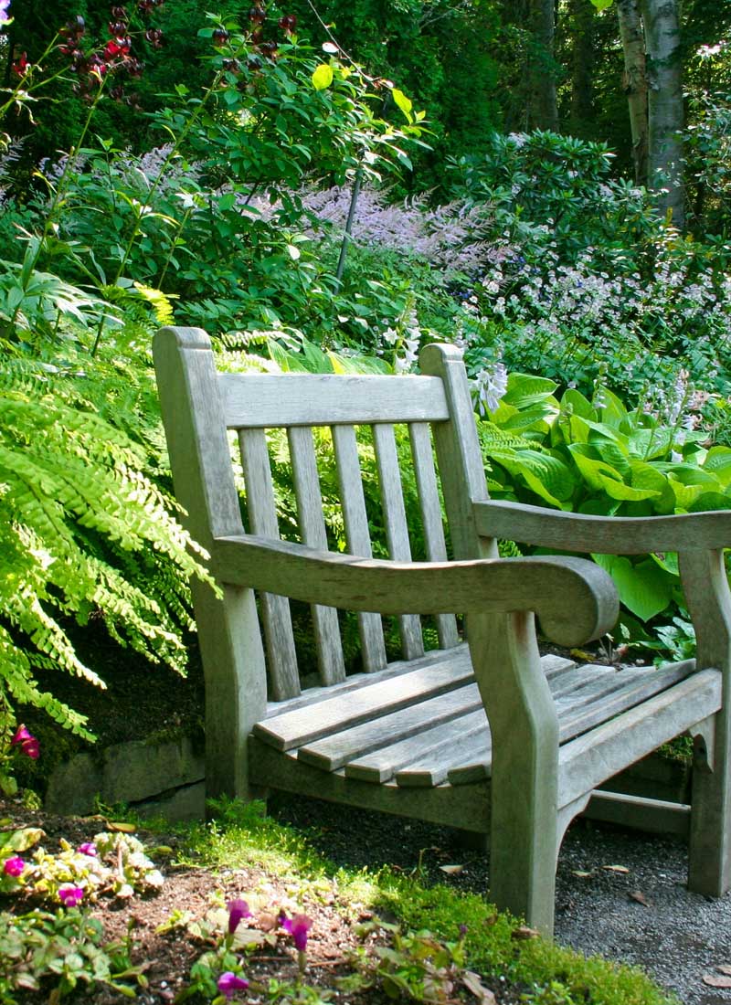 Hostas im Garten – Gartenbank