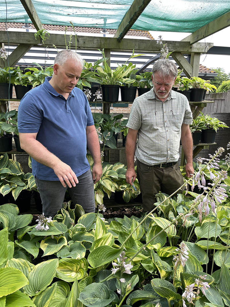 hosta chris